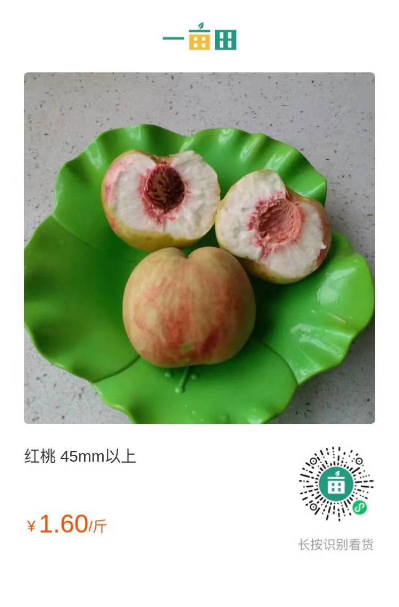 自家果园的华语桃