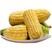 玉米甜玉米白糯花糯产地一手货源，支持打款发货