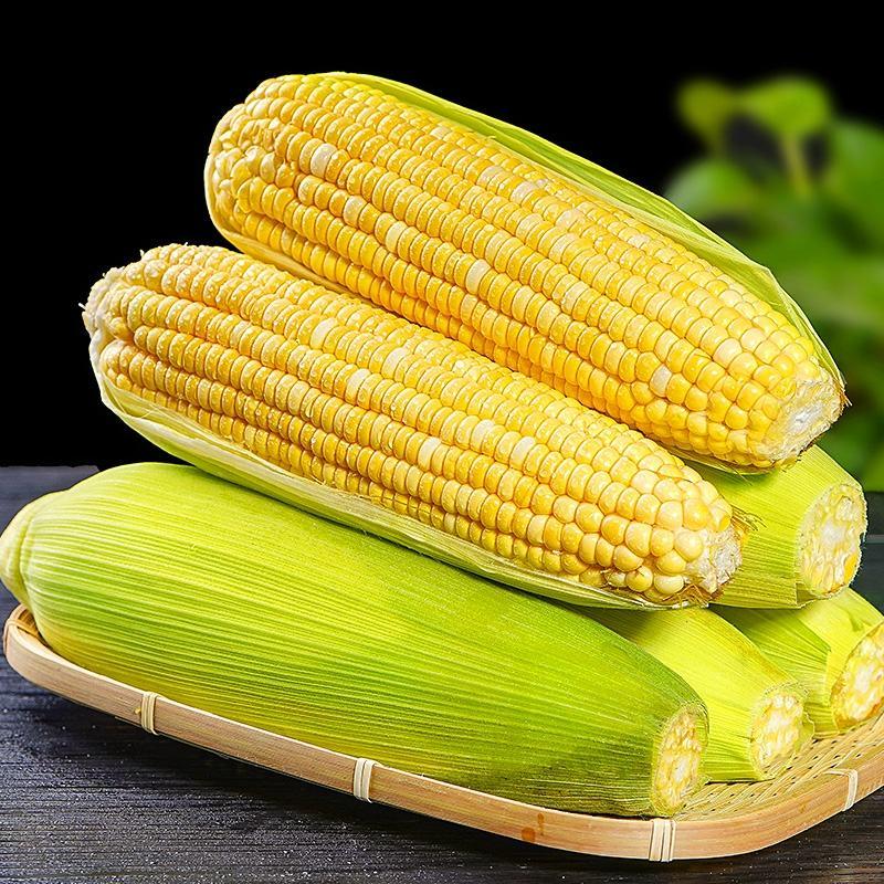 玉米甜玉米白糯花糯产地一手货源，支持打款发货