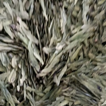 茶叶