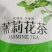 茶叶