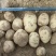 纯沙地白心226，薯型完美，货源充足，大小均匀，看货议价