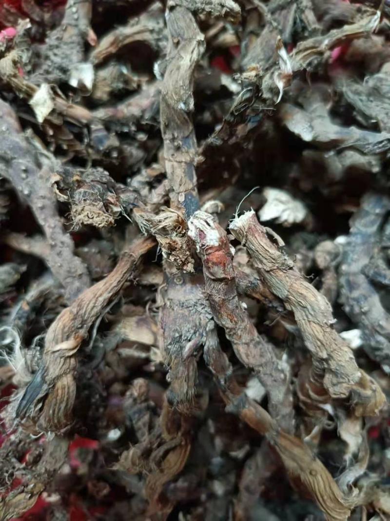 石菖蒲野生新货无硫熏非人工种植正品货批发零售均可