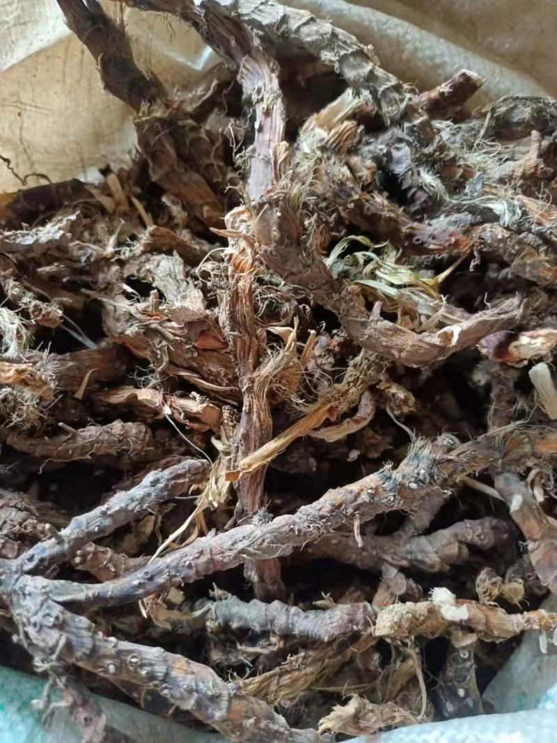 石菖蒲野生新货无硫熏非人工种植正品货批发零售均可