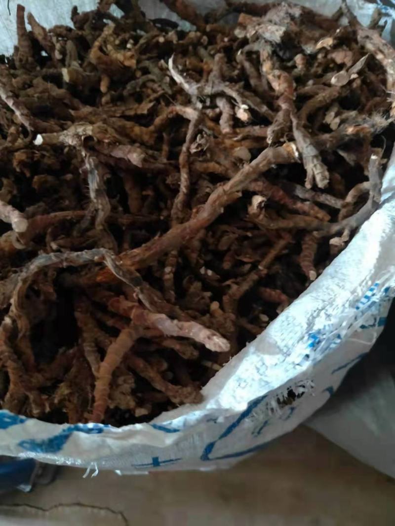 石菖蒲野生新货无硫熏非人工种植正品货批发零售均可