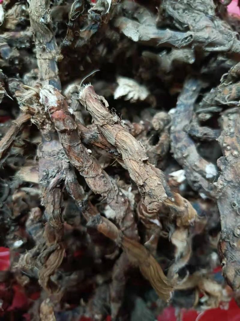 石菖蒲野生新货无硫熏非人工种植正品货批发零售均可