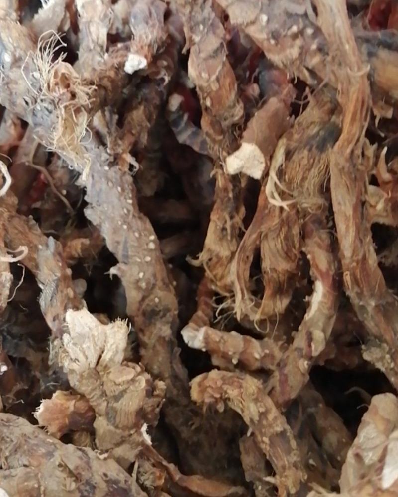 石菖蒲野生新货无硫熏非人工种植正品货批发零售均可