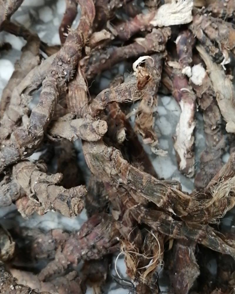 石菖蒲野生新货无硫熏非人工种植正品货批发零售均可