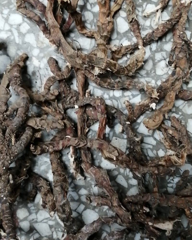 石菖蒲野生新货无硫熏非人工种植正品货批发零售均可