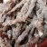 石菖蒲野生新货无硫熏非人工种植正品货批发零售均可