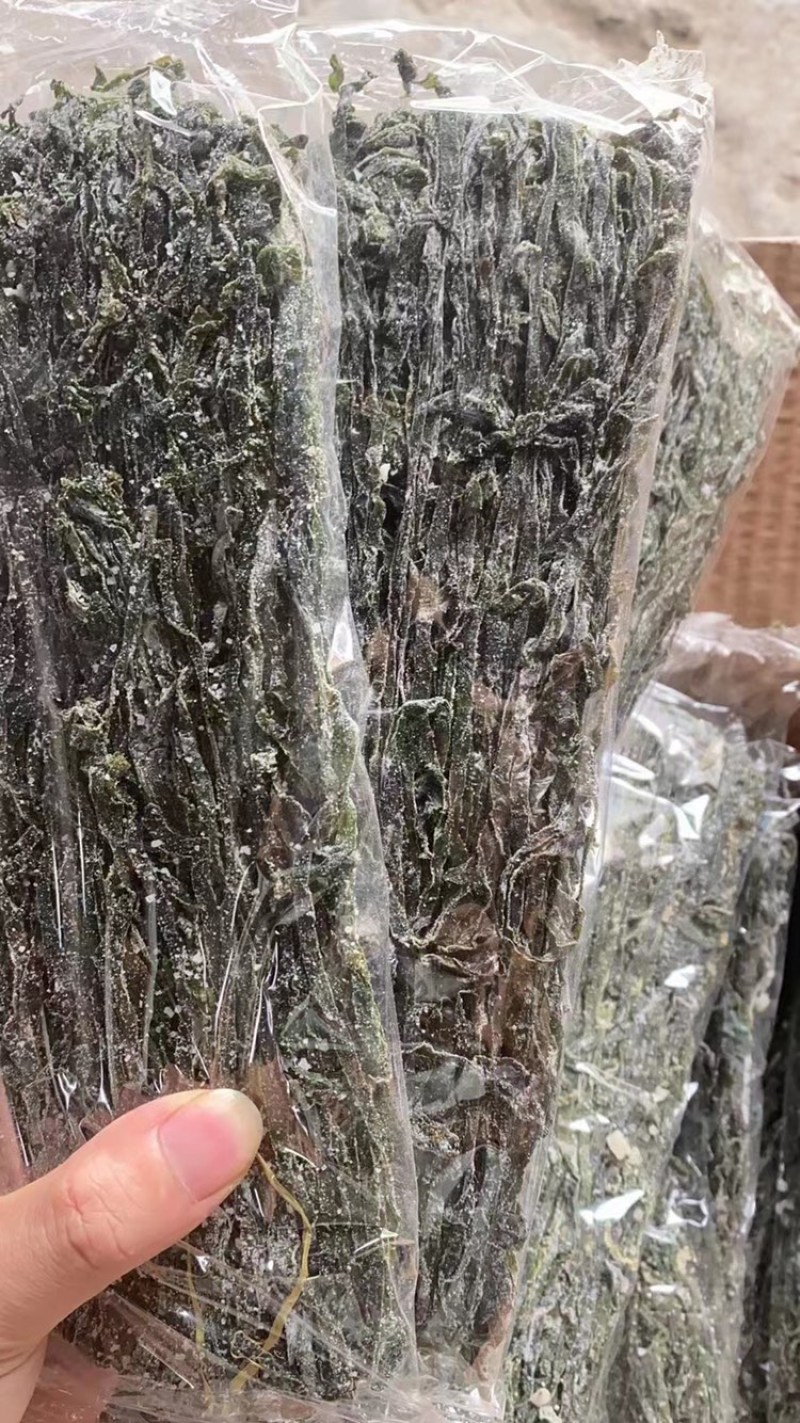 烘压缩海带丝干货海带丝凉拌火锅食材海带丝高泡发