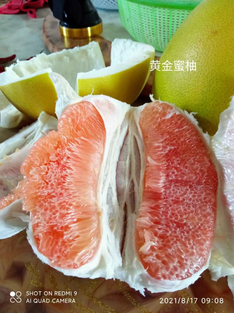 三红，黄金蜜柚，水份相当足。