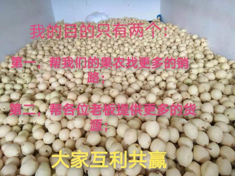 套袋金花梨，可视频看货，原产地直供支持线上交易有保障