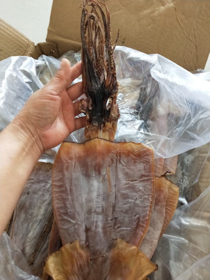 鱿鱼干盐干质量好干度7成左右1箱20斤一手货源不包邮