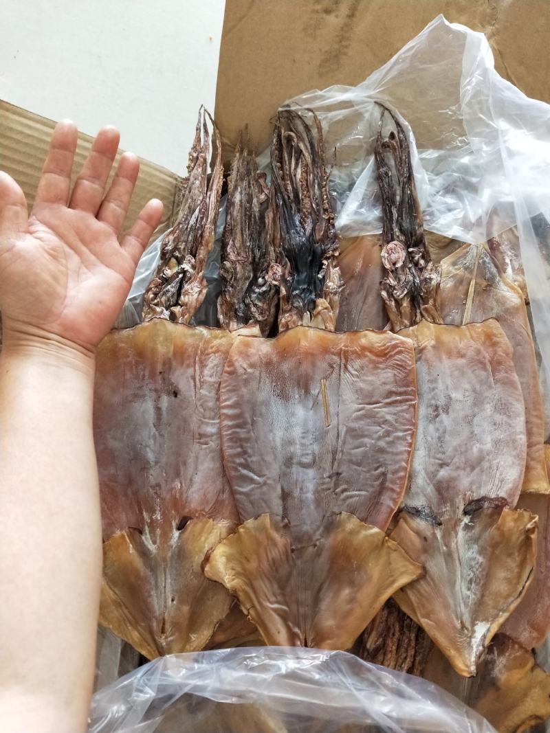 鱿鱼干盐干质量好干度7成左右1箱20斤一手货源不包邮