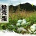 多彩贵州地标长顺高山土鸡蛋散养绿壳鸡蛋360枚/件