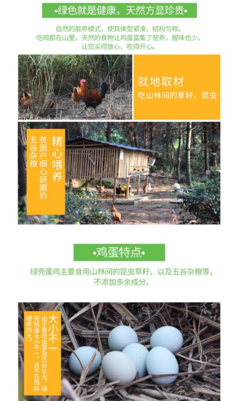 多彩贵州地标长顺高山土鸡蛋散养绿壳鸡蛋360枚/件