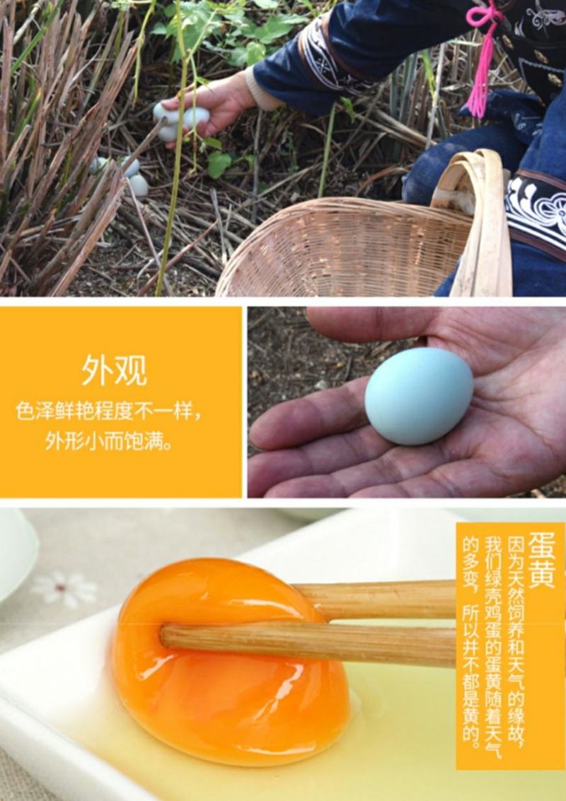 多彩贵州地标长顺高山土鸡蛋散养绿壳鸡蛋360枚/件