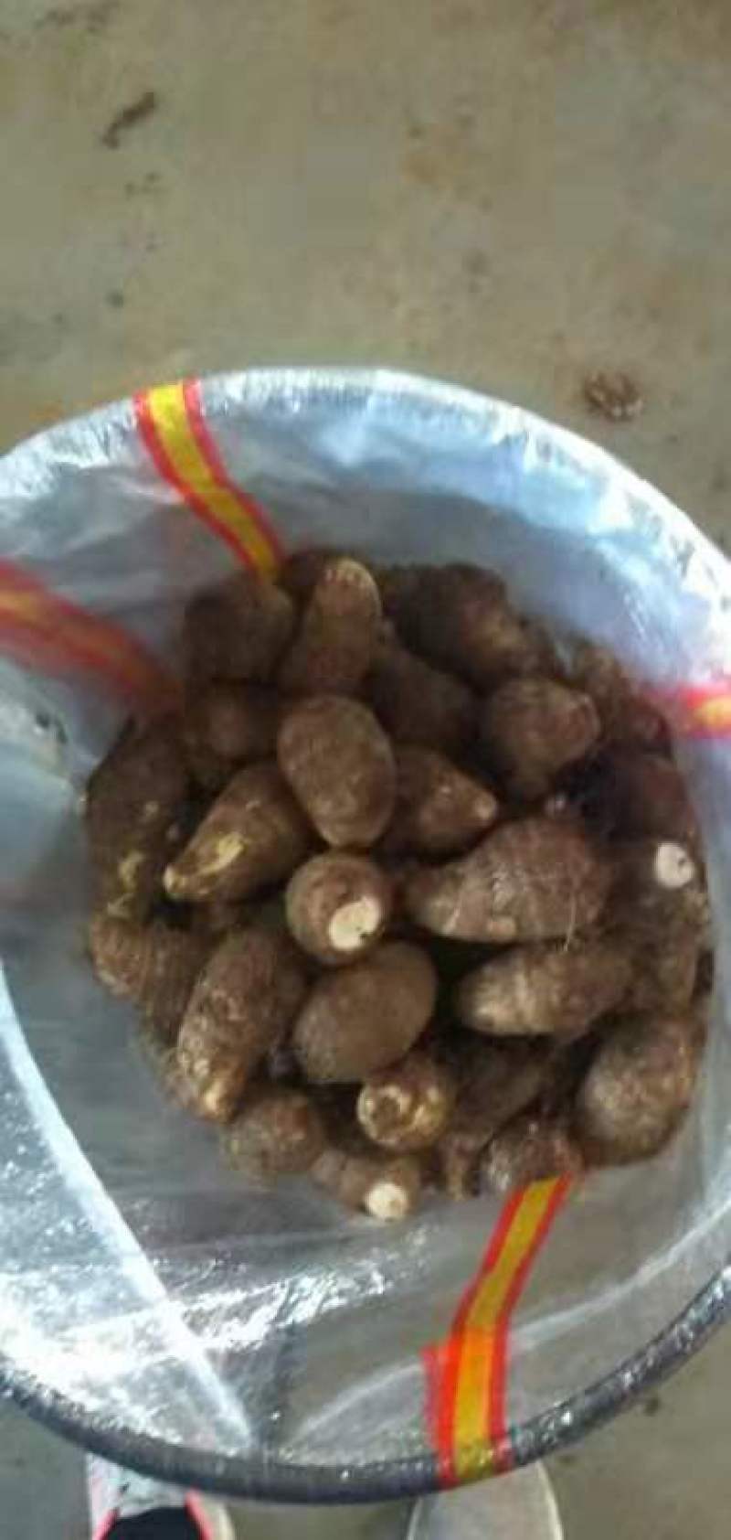 优质芋头8520芋头大量上市一手货源，保证质量全国发