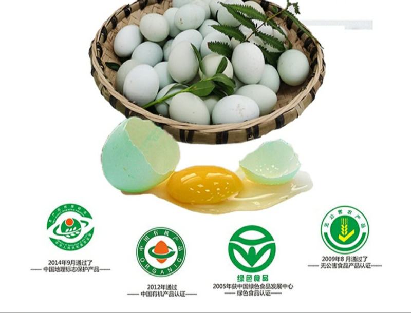 多彩贵州地标长顺高山土鸡蛋散养绿壳鸡蛋360枚/件