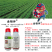 33%苯醚咯菌腈噻虫嗪种子处剂小麦拌种剂蚜虫根腐病