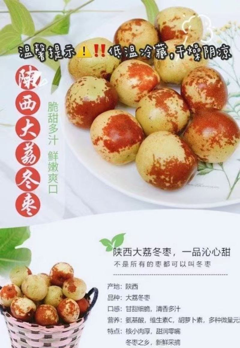 冬枣大荔冬栆陕西冬栆批发价格品质保证优质服务诚信经营