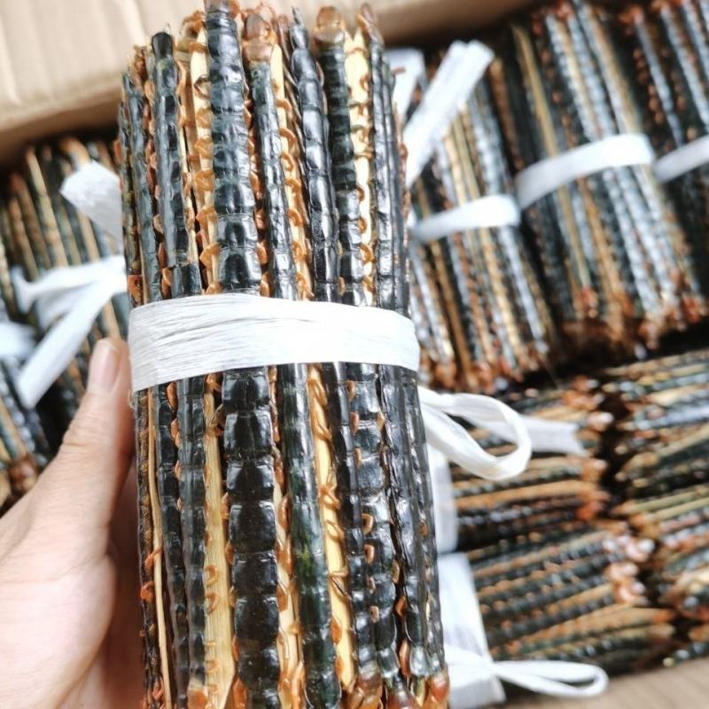中药材蜈蚣皮药用蜈蚣干百足虫药材10-17公分全尺寸