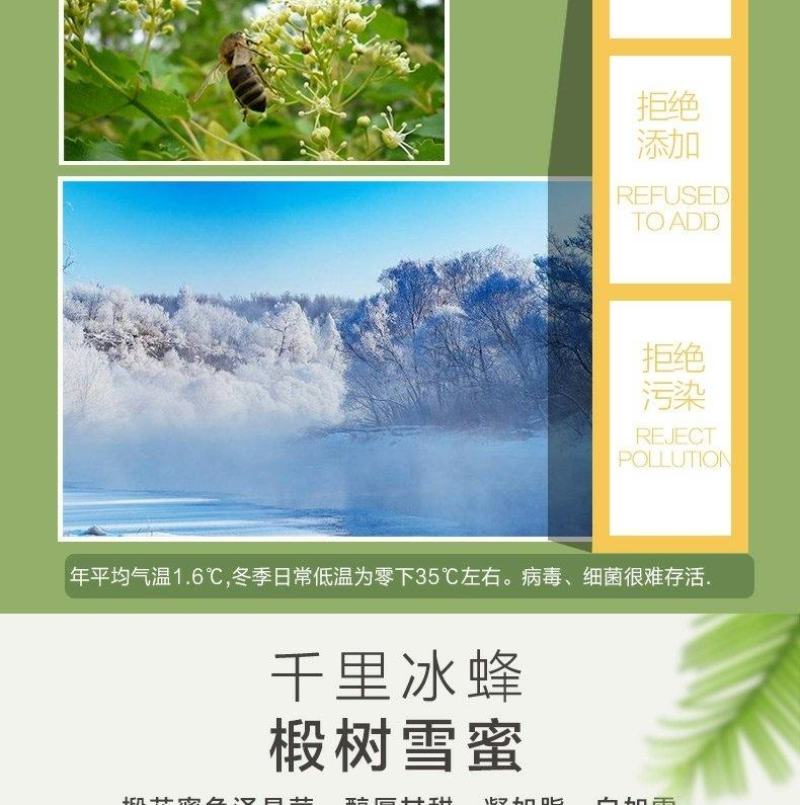 黑龙江绿椴黑蜂雪蜜