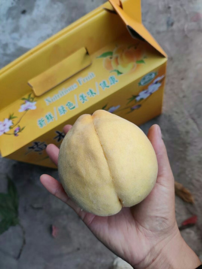 黄金蜜桃