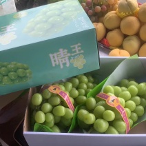 黄花梨各种葡萄，价格可以私聊