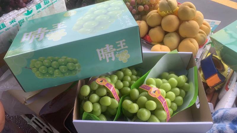 黄花梨各种葡萄，价格可以私聊