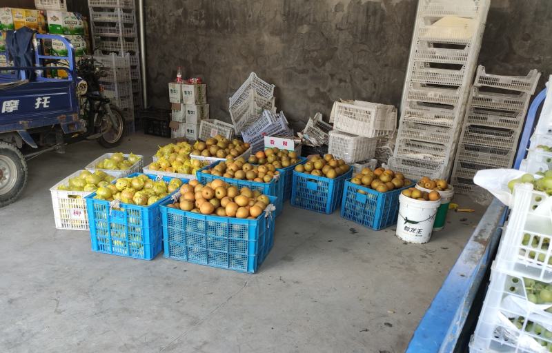 黄花梨各种葡萄，价格可以私聊