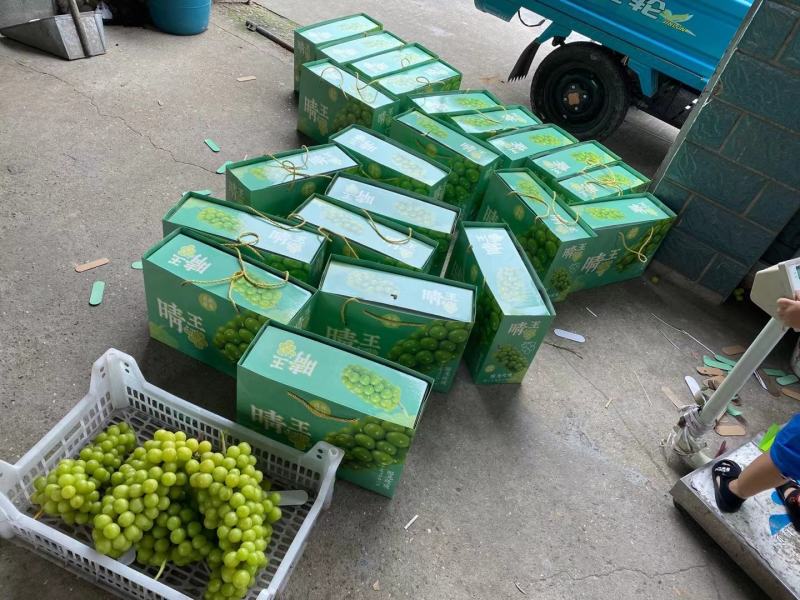 黄花梨各种葡萄，价格可以私聊