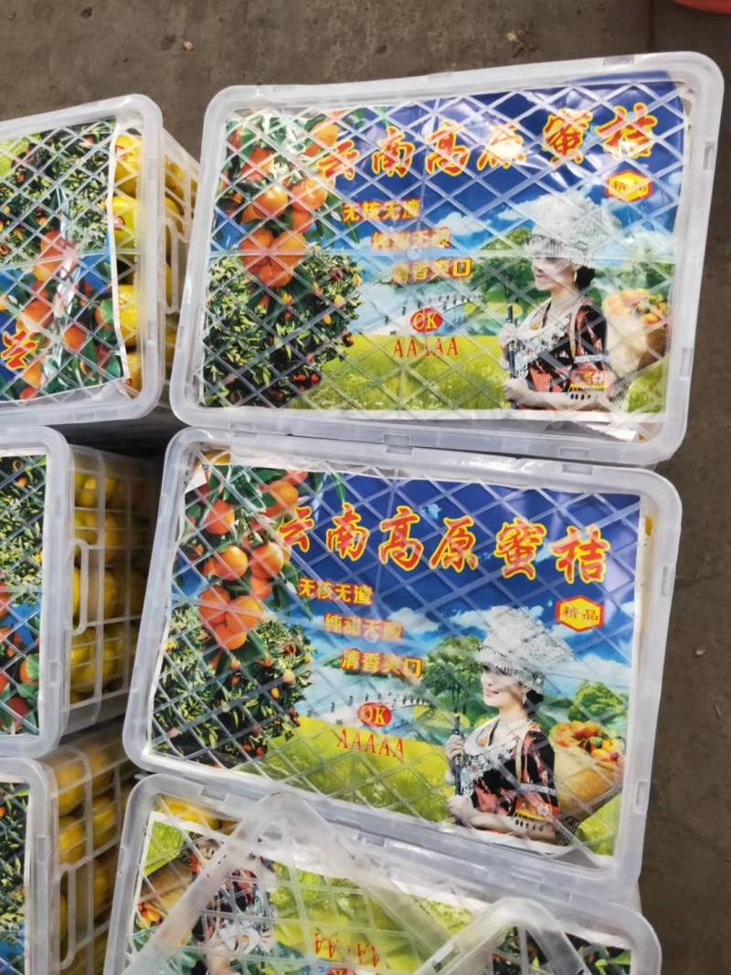 【蜜桔优选】特早蜜桔，产地直发，一手货源充足，诚信交易