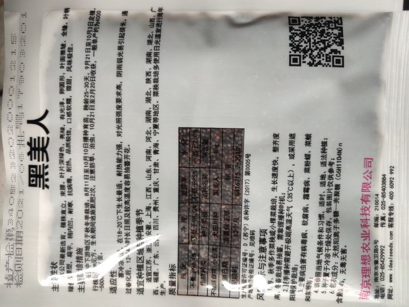 黑美人特矮棵黑叶，叶片深绿色，亮绿，耐寒，耐热。