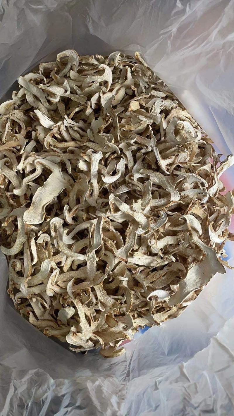松茸干片野生松茸带皮松茸产地大货直销规格齐全