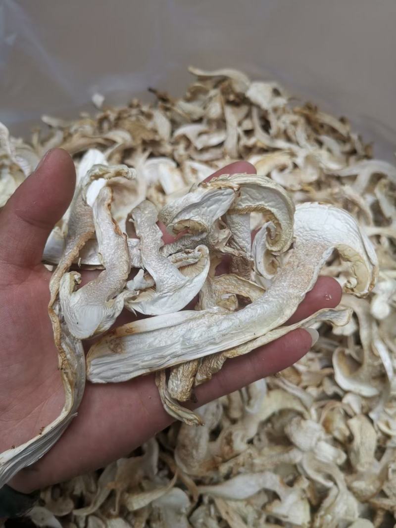 松茸干片野生松茸带皮松茸产地大货直销规格齐全