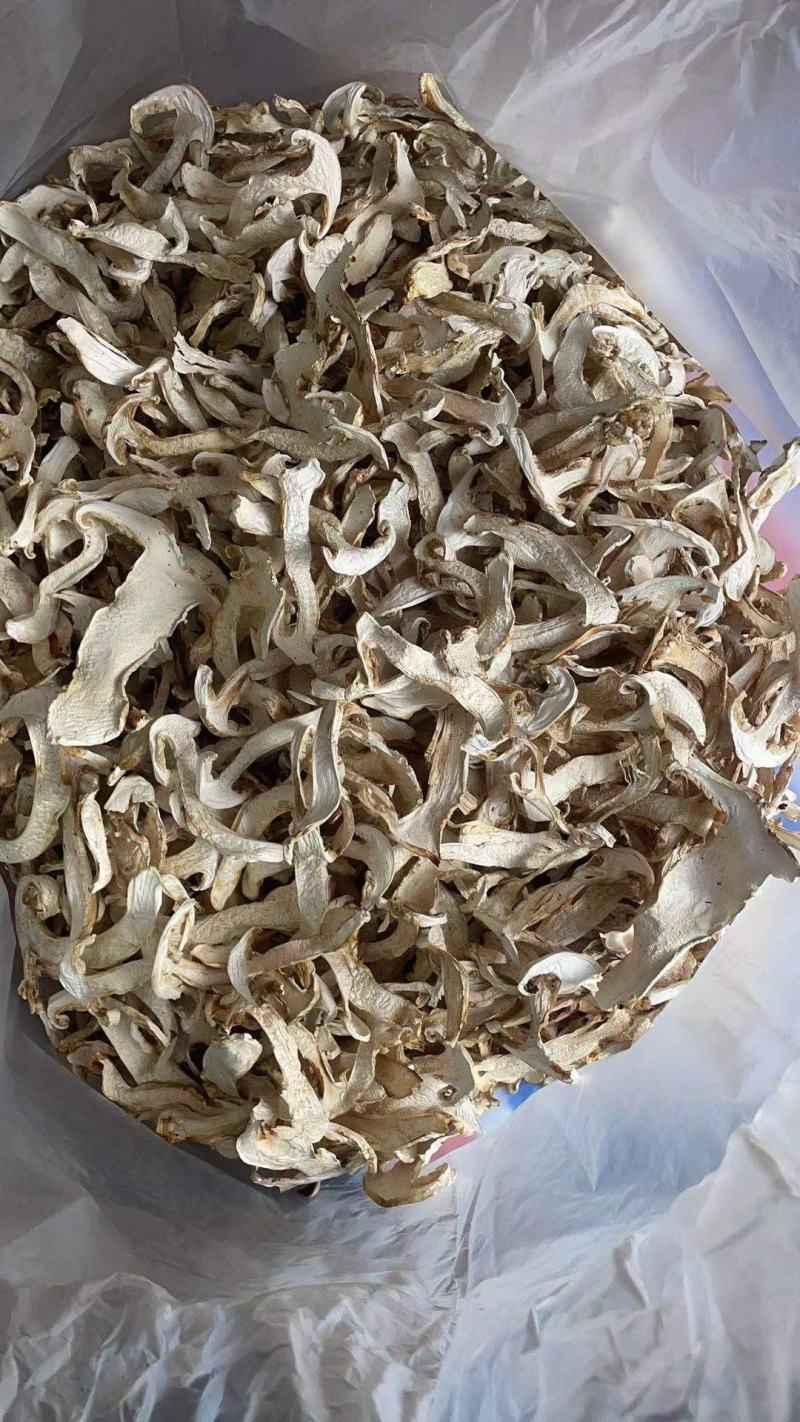 松茸干片野生松茸带皮松茸产地大货直销规格齐全