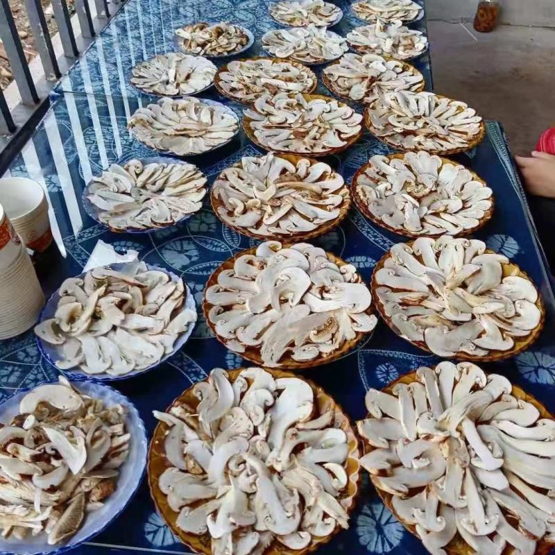 松茸干片野生松茸带皮松茸产地大货直销规格齐全