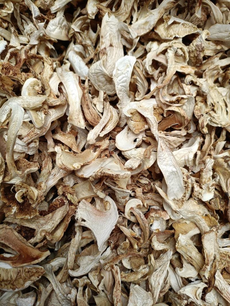 松茸干片野生松茸带皮松茸产地大货直销规格齐全