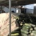 万亩蔬菜基地种植冬瓜直发代办品质优良价格优势