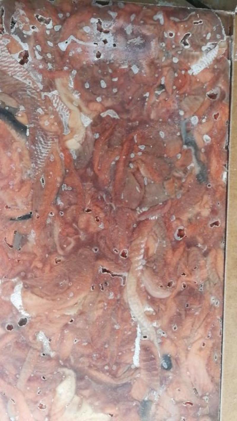三文鱼脂肪线马哈鱼脂肪线三文鱼脂肪线马哈鱼脂肪线三文鱼脂