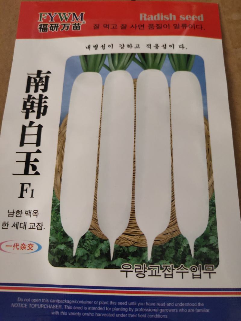 南韩白玉萝卜种子，整齐，长圆筒型，耐抽苔，