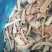 马哈鱼碎肉边角料马哈鱼碎肉边角料马哈鱼碎肉边角料马哈鱼碎