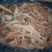 马哈鱼碎肉边角料马哈鱼碎肉边角料马哈鱼碎肉边角料马哈鱼碎