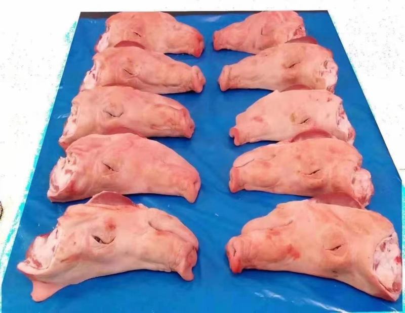 生猪头1204去耳半头手续齐全