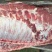 生鲜猪肋排猪排骨鲜冻一级猪肋排精修排骨20斤肋排