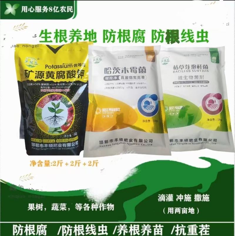 哈茨木霉菌哈茨木霉菌哈茨木霉菌哈茨木霉霉