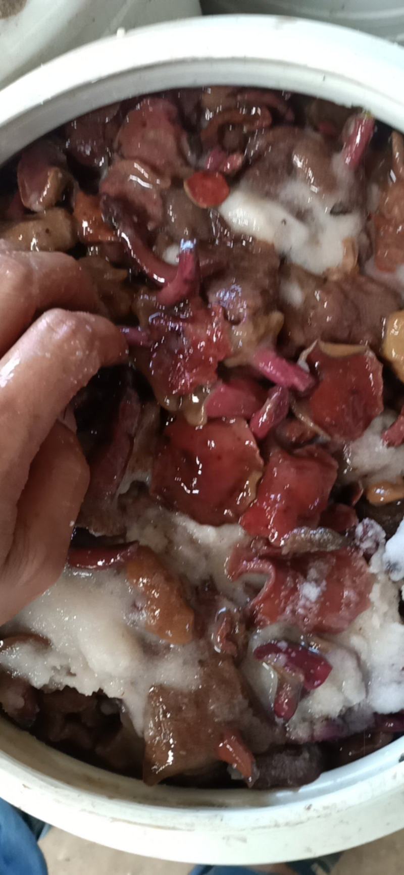 批发各种野生菌