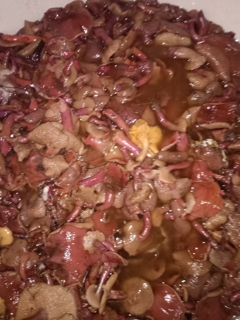 批发各种野生菌